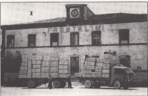 Azienda Frontalini di Numana