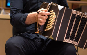 Harmonik - Dalmonte Electronics