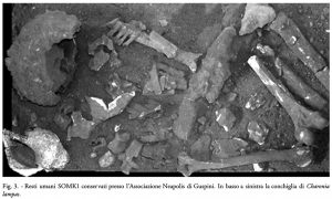 Su corru marinu - Rinvenimento archeologico