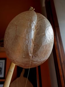 Vescica di maiale della serraggia che funge da cassa di risonanza dello strumento