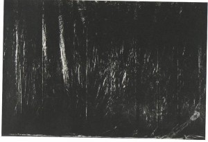 12 Alberto Burri seconda parte Tristano e Isotta Sipario