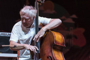 Arild Andersen (foto Umberto Germinale)
