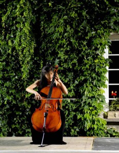 Casalmaggiore International Music Festival 2013