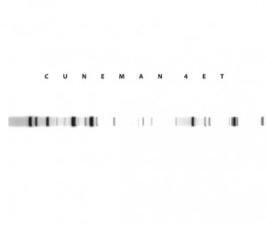 Cuneman Quartet